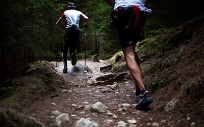 Best Trail Shoe Review 2021