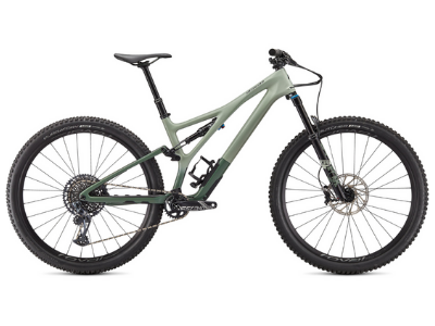 The Best Short Travel Mountain Bikes: Specialized Stumpjumper ST - Gear Hacker