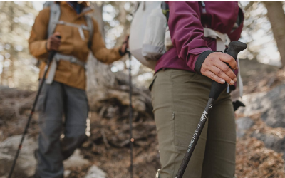 Best Trekking Pole Review 2021